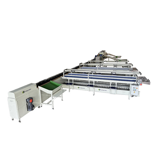 tomato grader tomato grader